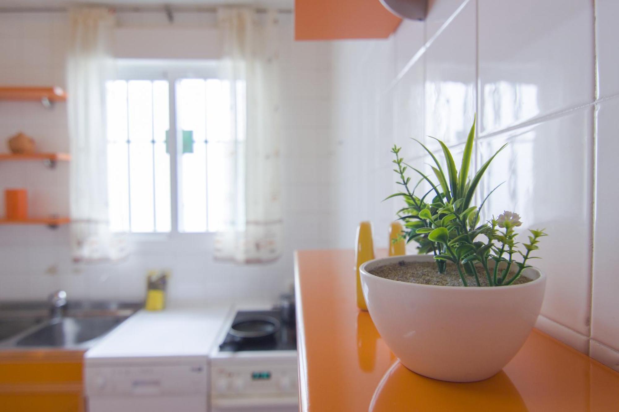 Apartament Rentalsevilla Buiza Y Mensaque Sewilla